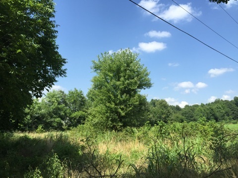 1200 & 1202 Warren, Jonesboro, AR 72401