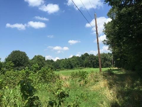 1200 & 1202 Warren, Jonesboro, AR 72401