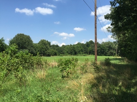 1200 & 1202 Warren, Jonesboro, AR 72401