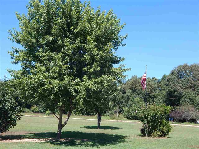 33 CR 7922, Brookland, AR 72417