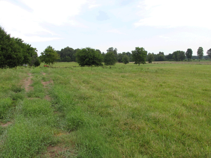 1352 CR 740, Brookland, AR 72417