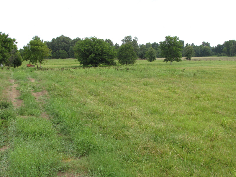 1352 CR 740, Brookland, AR 72417
