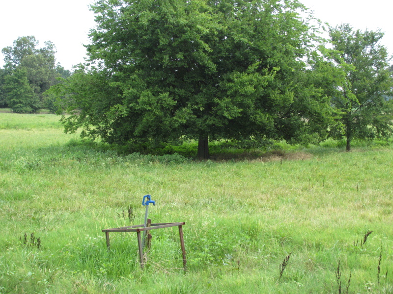 1352 CR 740, Brookland, AR 72417