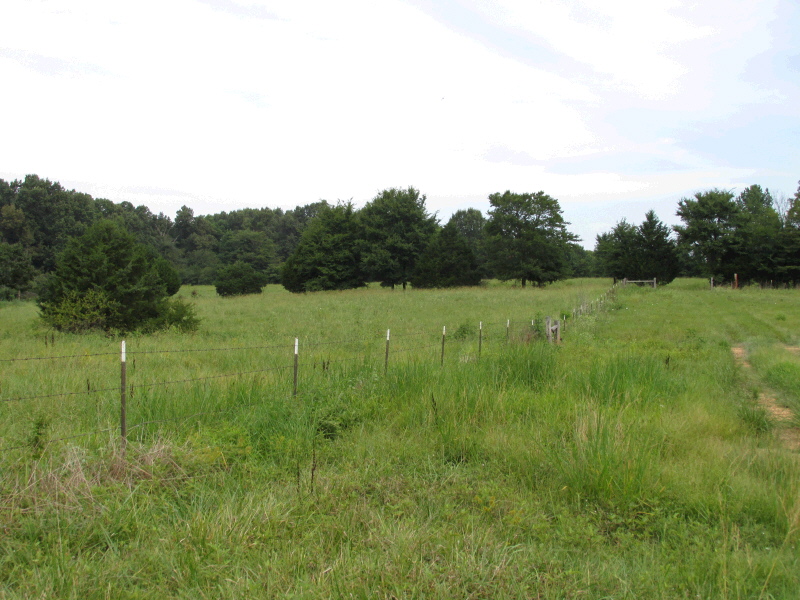 1352 CR 740, Brookland, AR 72417