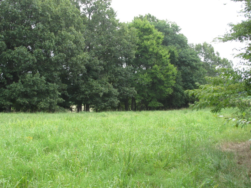 1352 CR 740, Brookland, AR 72417