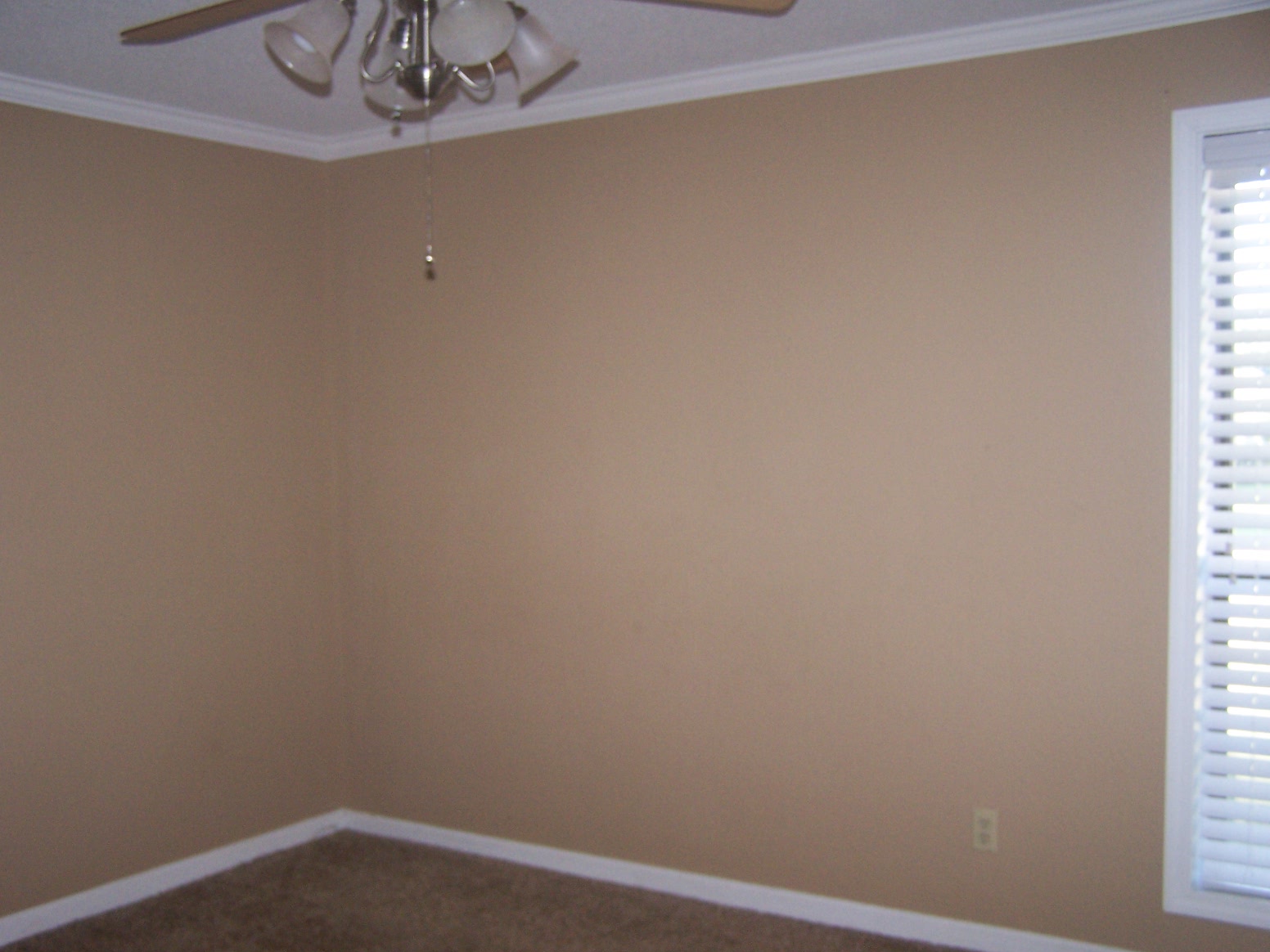 407 MERIWETHER, Paragould, AR 72450