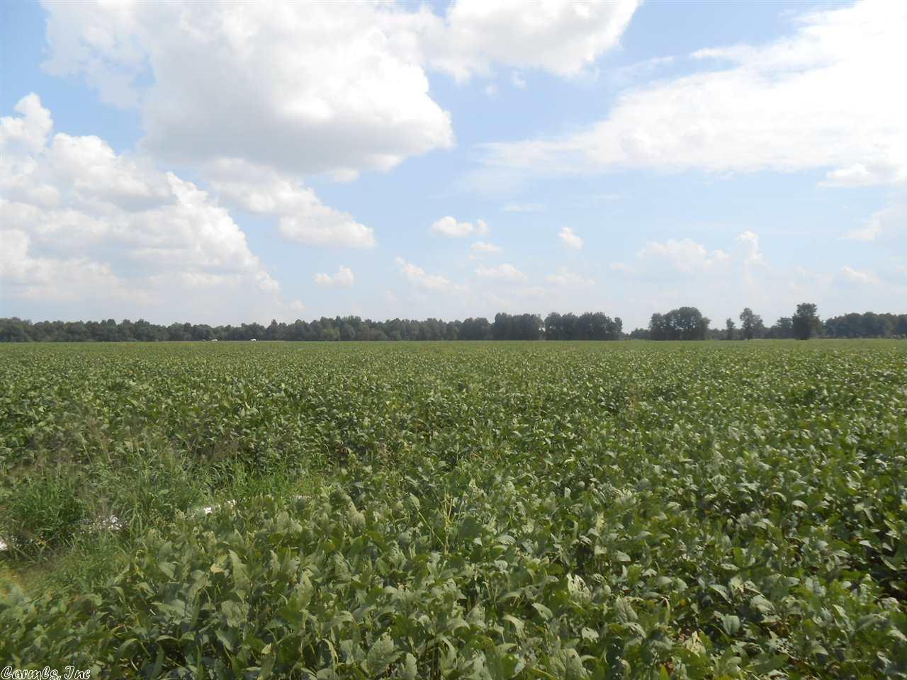 71.46 Acres CR 522, Paragould, AR 72450