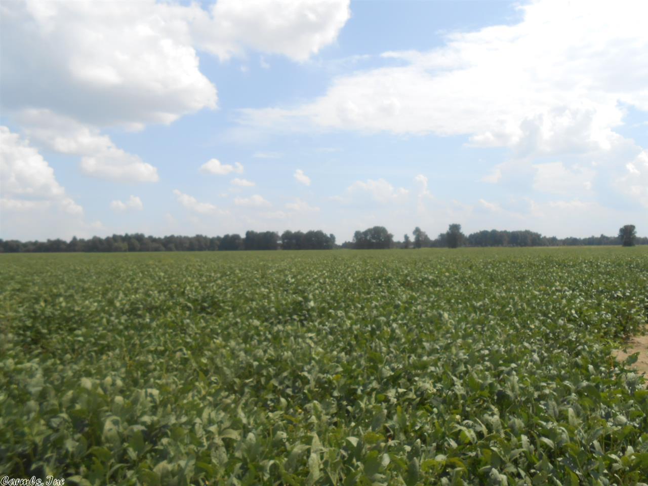 71.46 Acres CR 522, Paragould, AR 72450