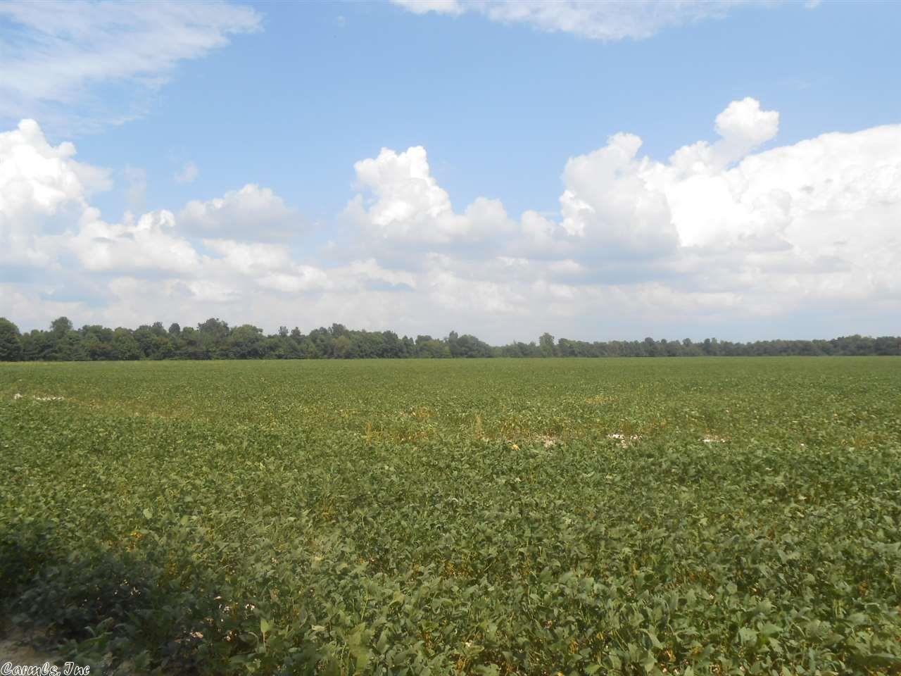 71.46 Acres CR 522, Paragould, AR 72450