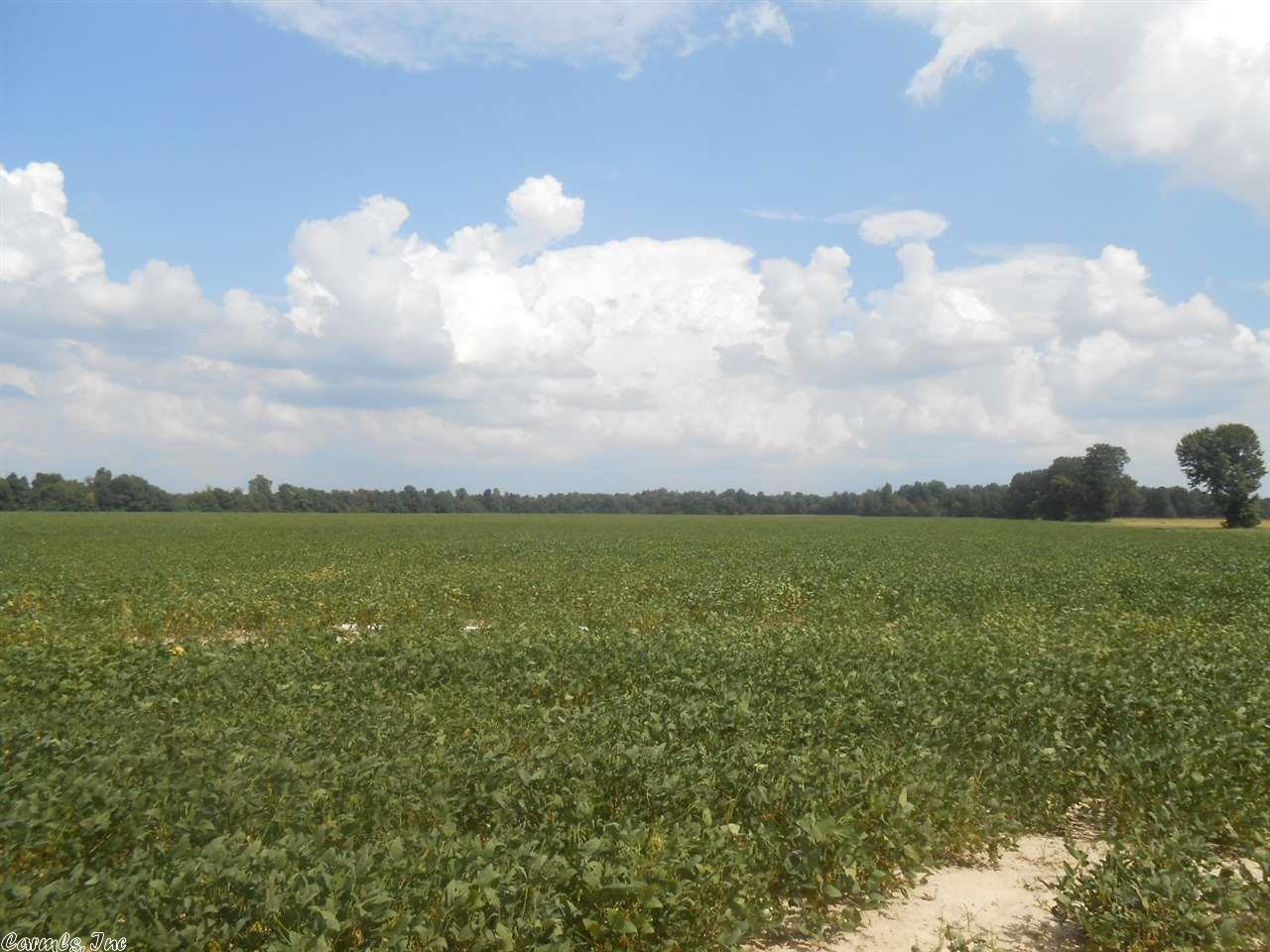 71.46 Acres CR 522, Paragould, AR 72450