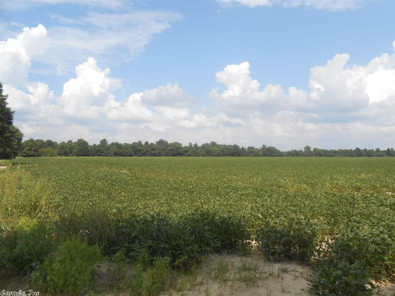71.46 Acres CR 522, Paragould, AR 72450
