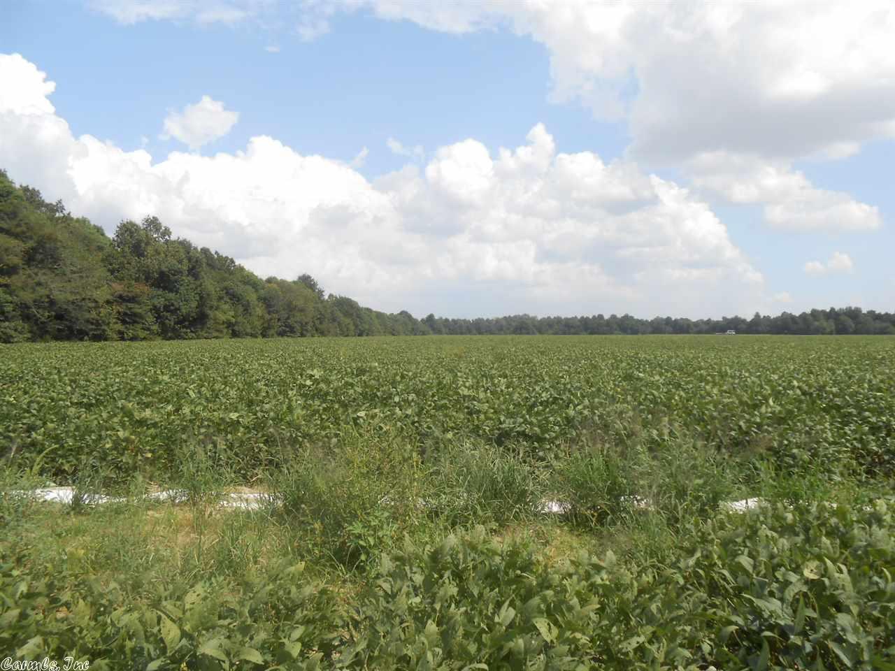 71.46 Acres CR 522, Paragould, AR 72450