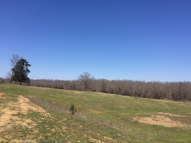 1361 Baker Den Rd., Warm Springs, AR 72478