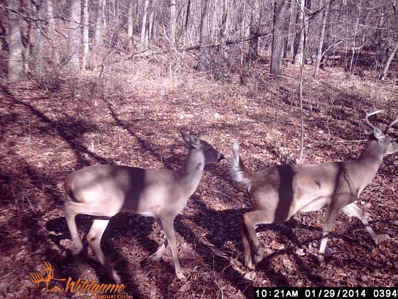 70 Acres +/- Sunset Ridge, Cave City, AR 72521