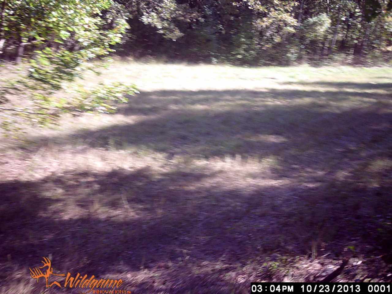 70 Acres +/- Sunset Ridge, Cave City, AR 72521