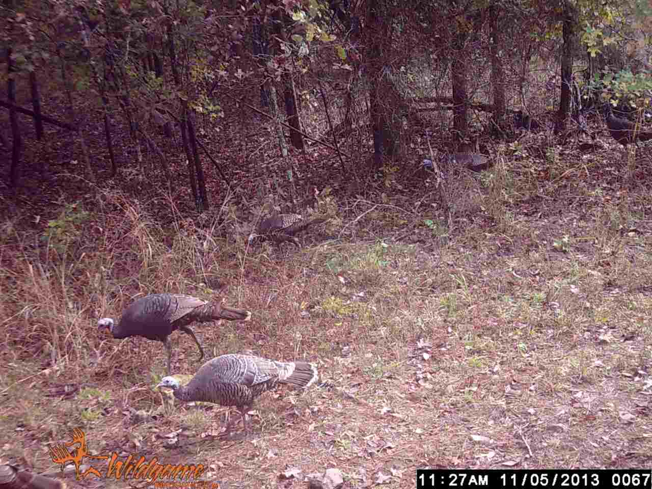 70 Acres +/- Sunset Ridge, Cave City, AR 72521