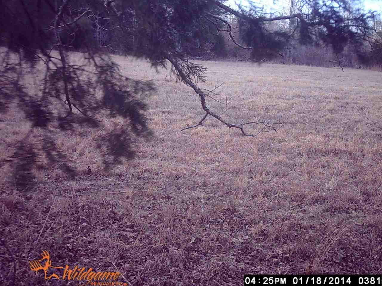 70 Acres +/- Sunset Ridge, Cave City, AR 72521