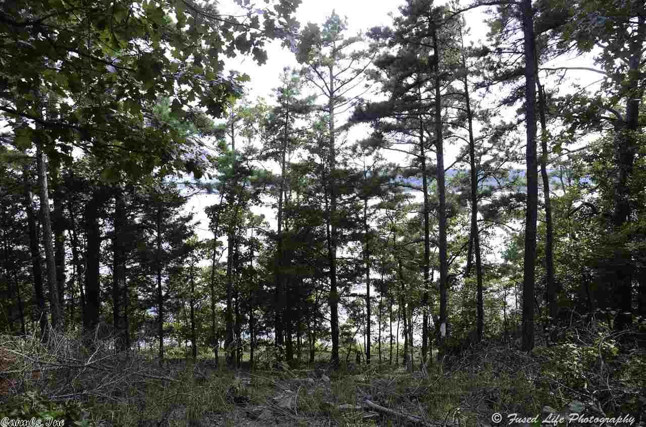 Lots 21 &amp; 22 Island Shores, Drasco, AR 72530