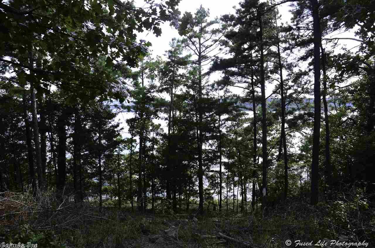 Lots 21 & 22 Island Shores, Drasco, AR 72530