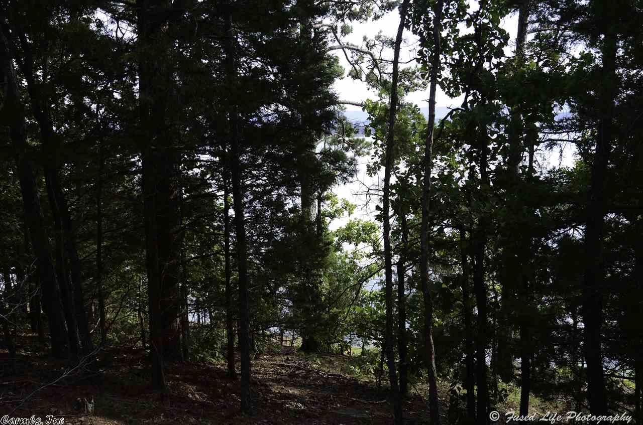 Lots 21 & 22 Island Shores, Drasco, AR 72530
