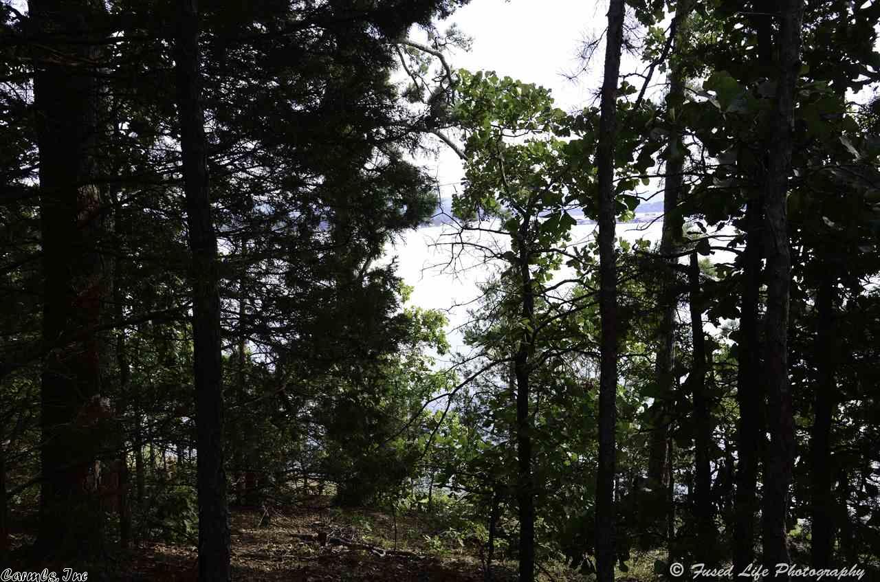 Lots 21 & 22 Island Shores, Drasco, AR 72530