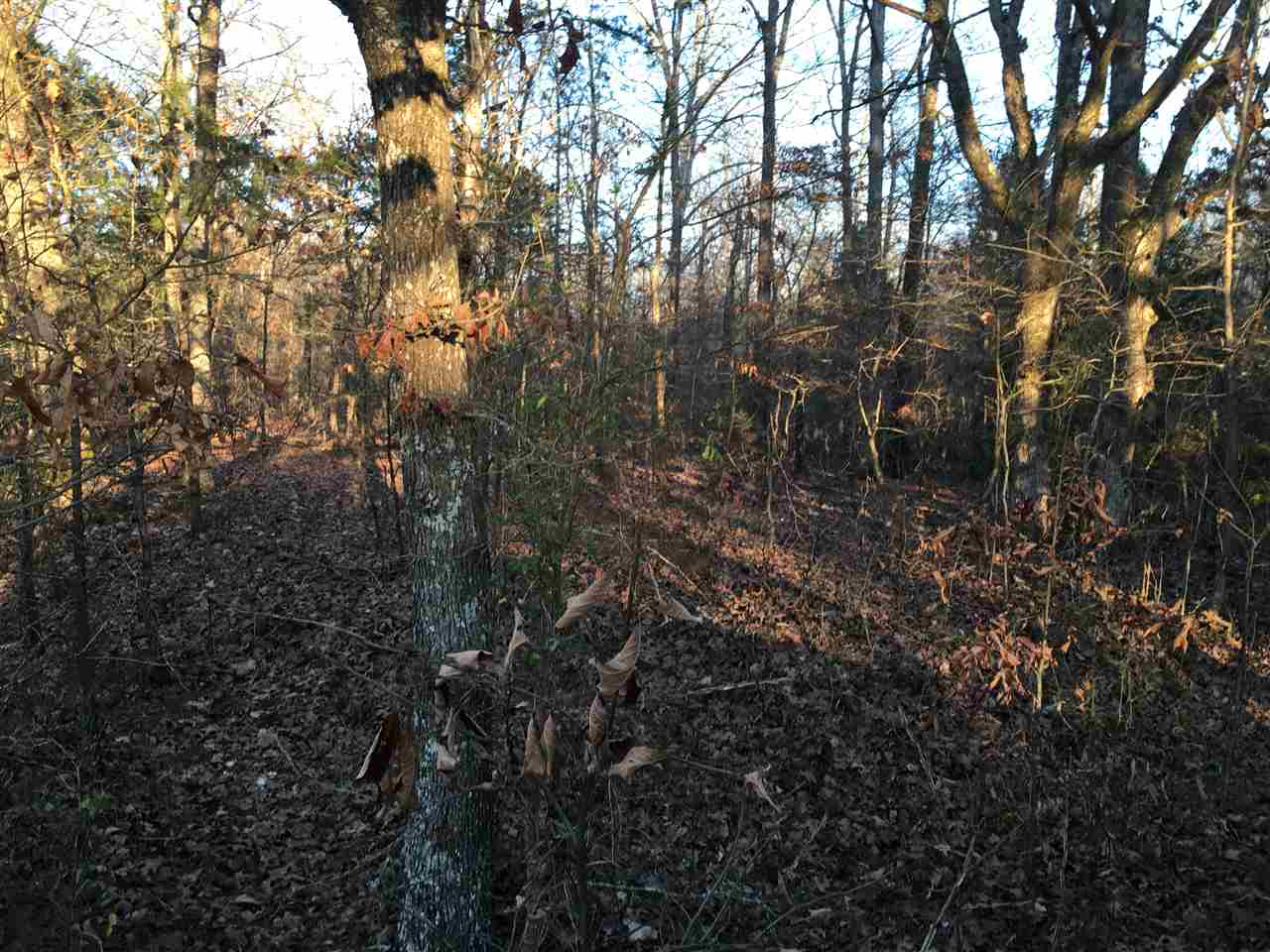 80+/- Acres Powell Chapel Road, Evening Shade, AR 72532