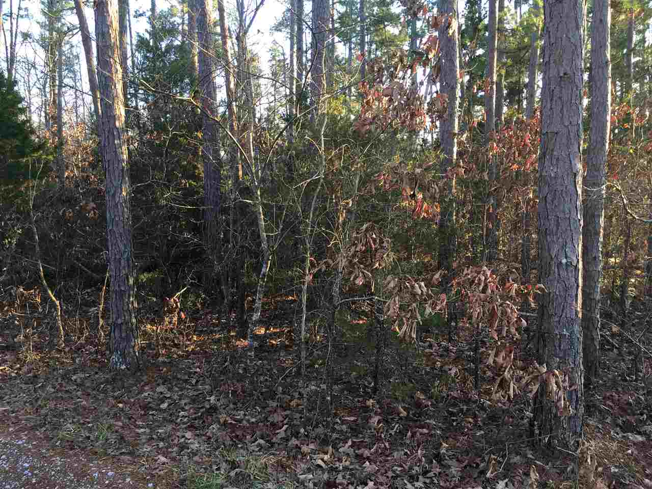80+/- Acres Powell Chapel Road, Evening Shade, AR 72532