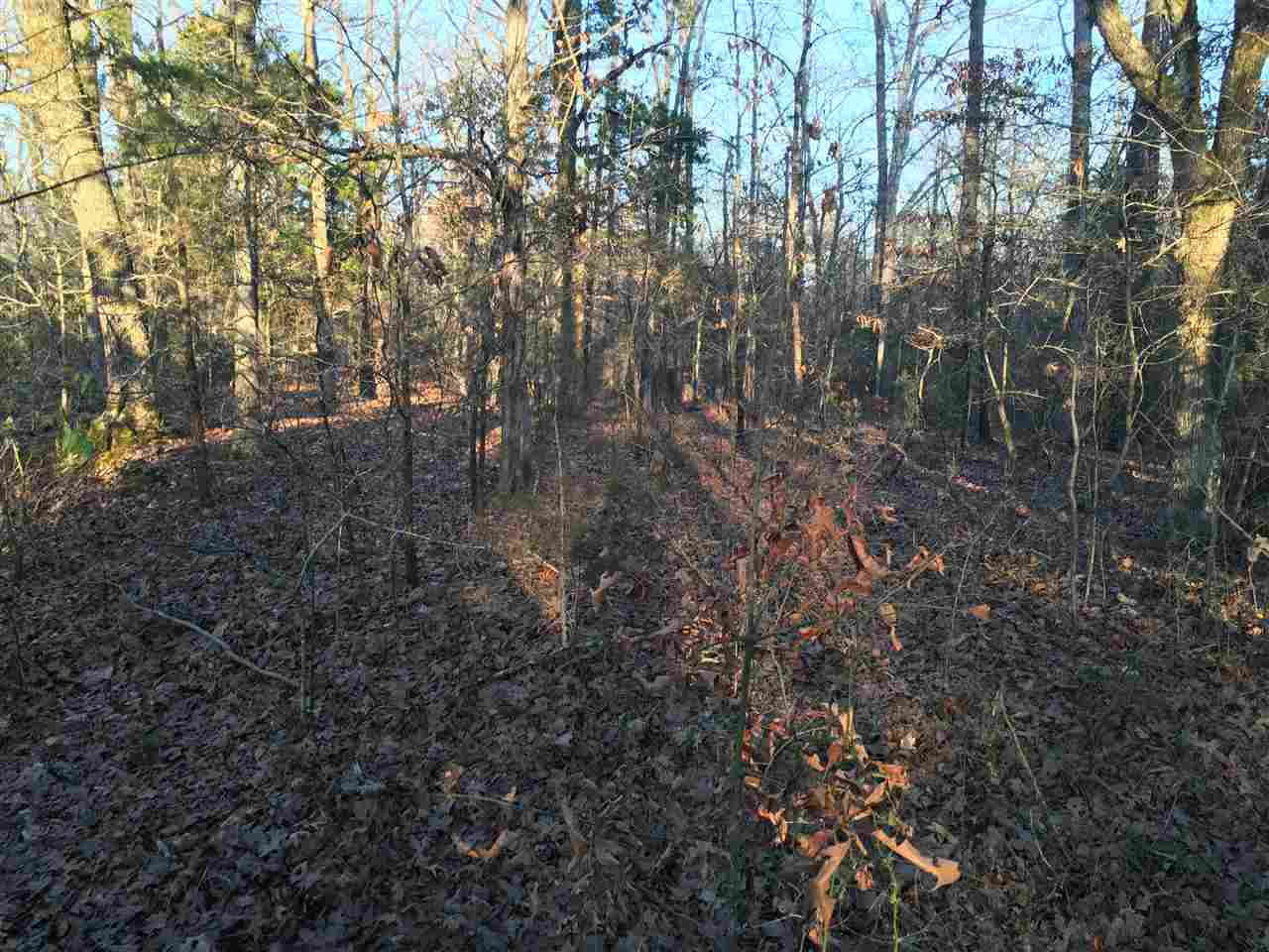 80+/- Acres Powell Chapel Road, Evening Shade, AR 72532