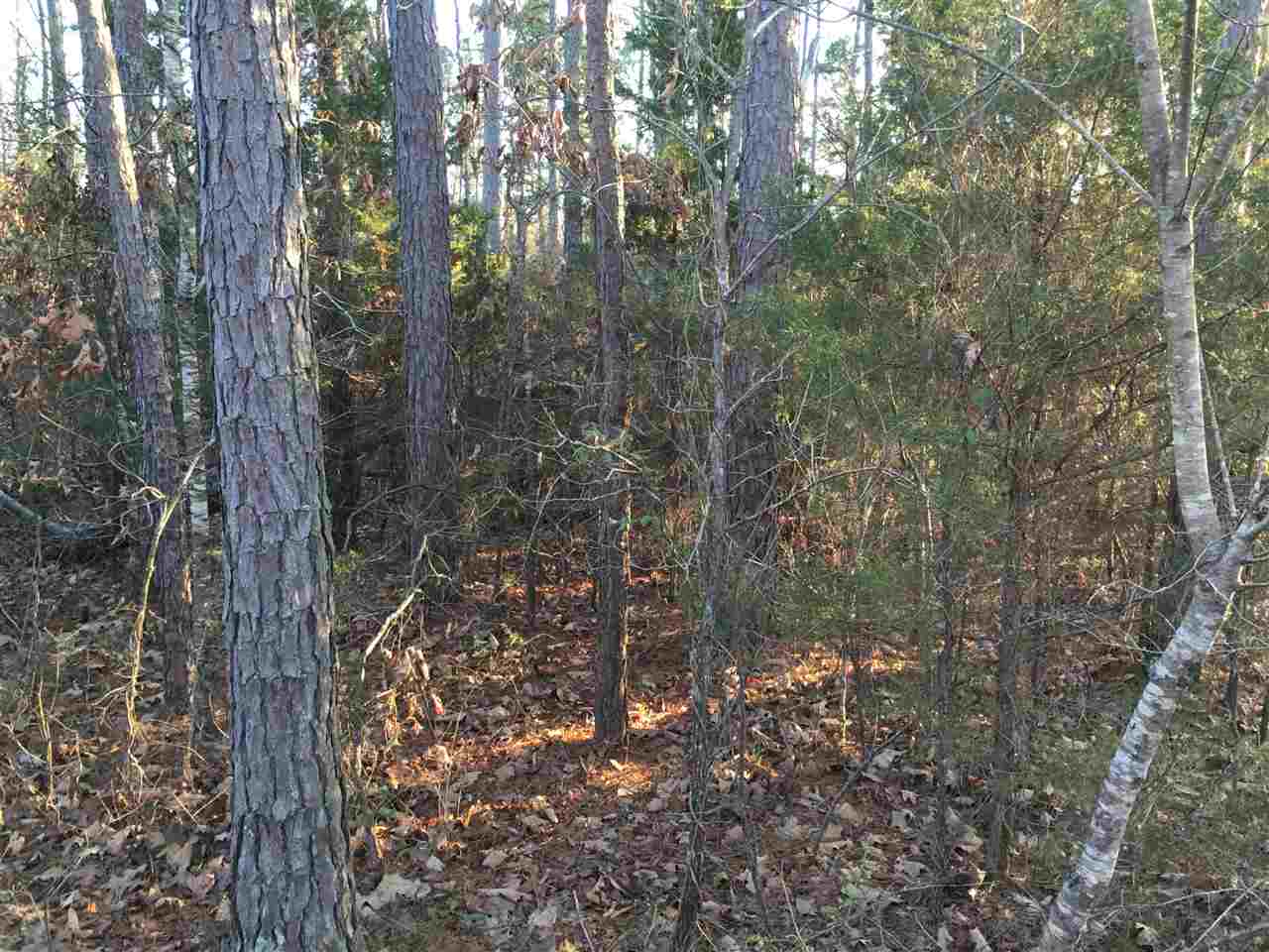 80+/- Acres Powell Chapel Road, Evening Shade, AR 72532