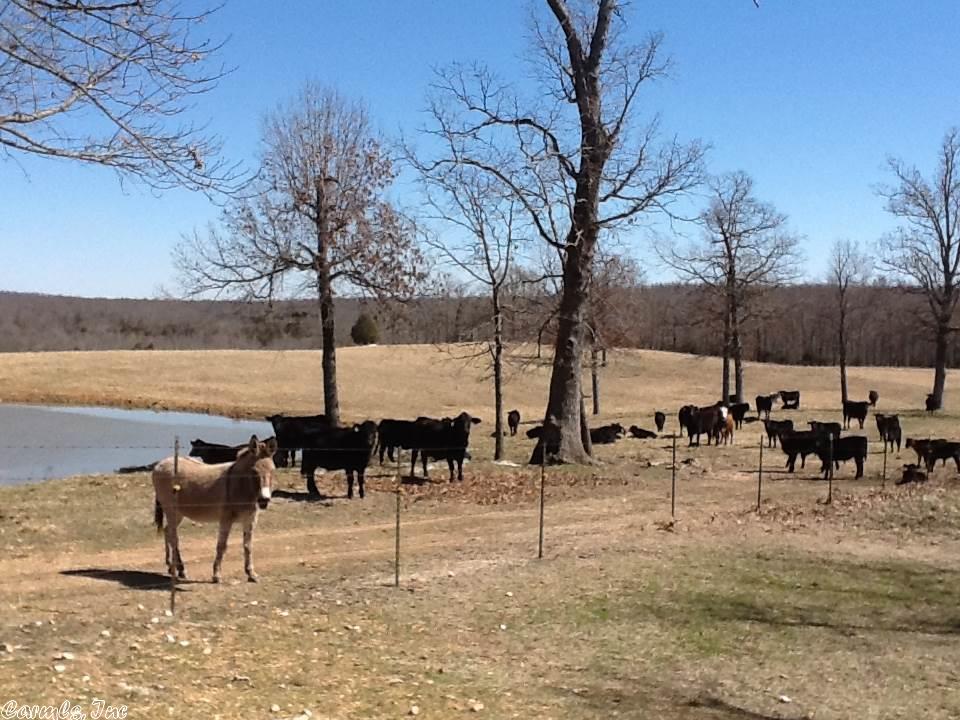 448 Simstown Road, Evening Shade, AR 72532