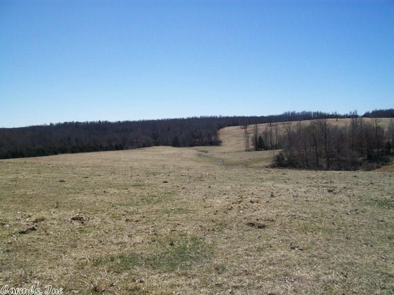 448 Simstown Road, Evening Shade, AR 72532