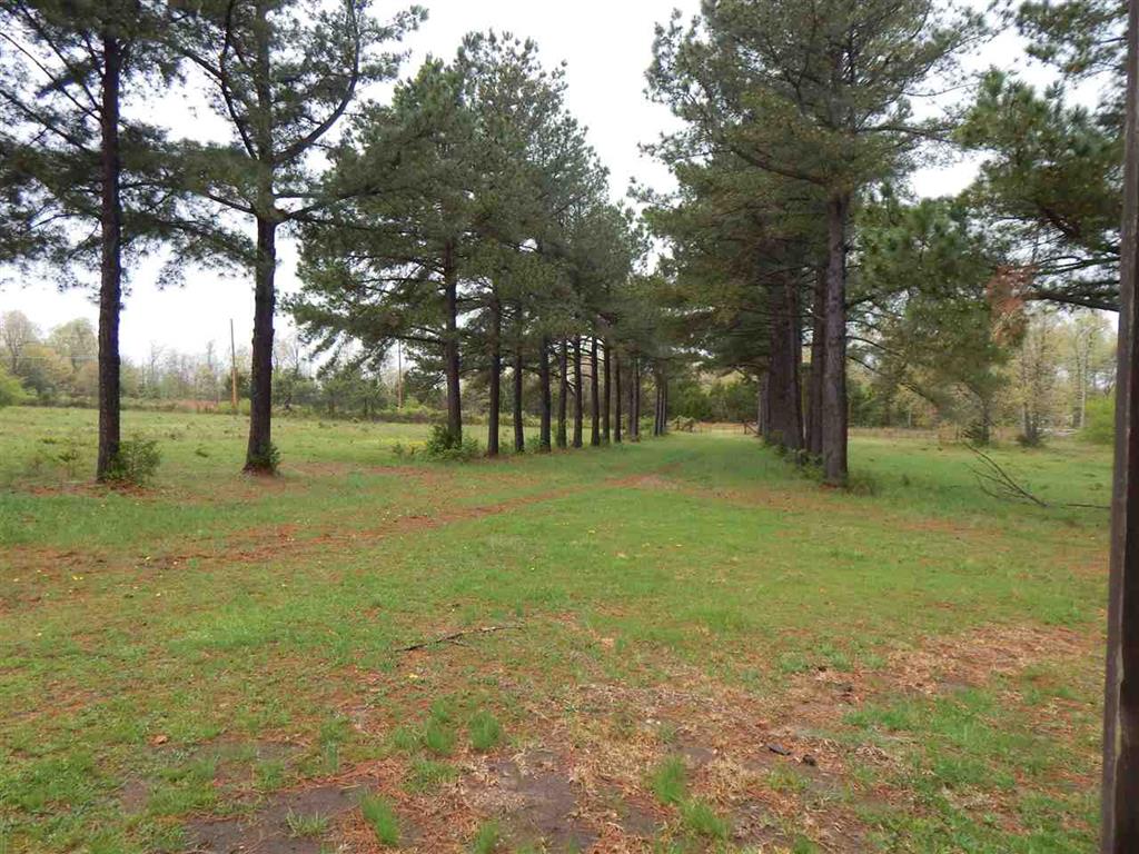 50 Big Creek, Highland, AR 72542