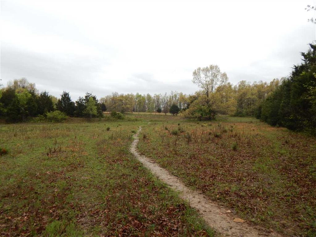 50 Big Creek, Highland, AR 72542