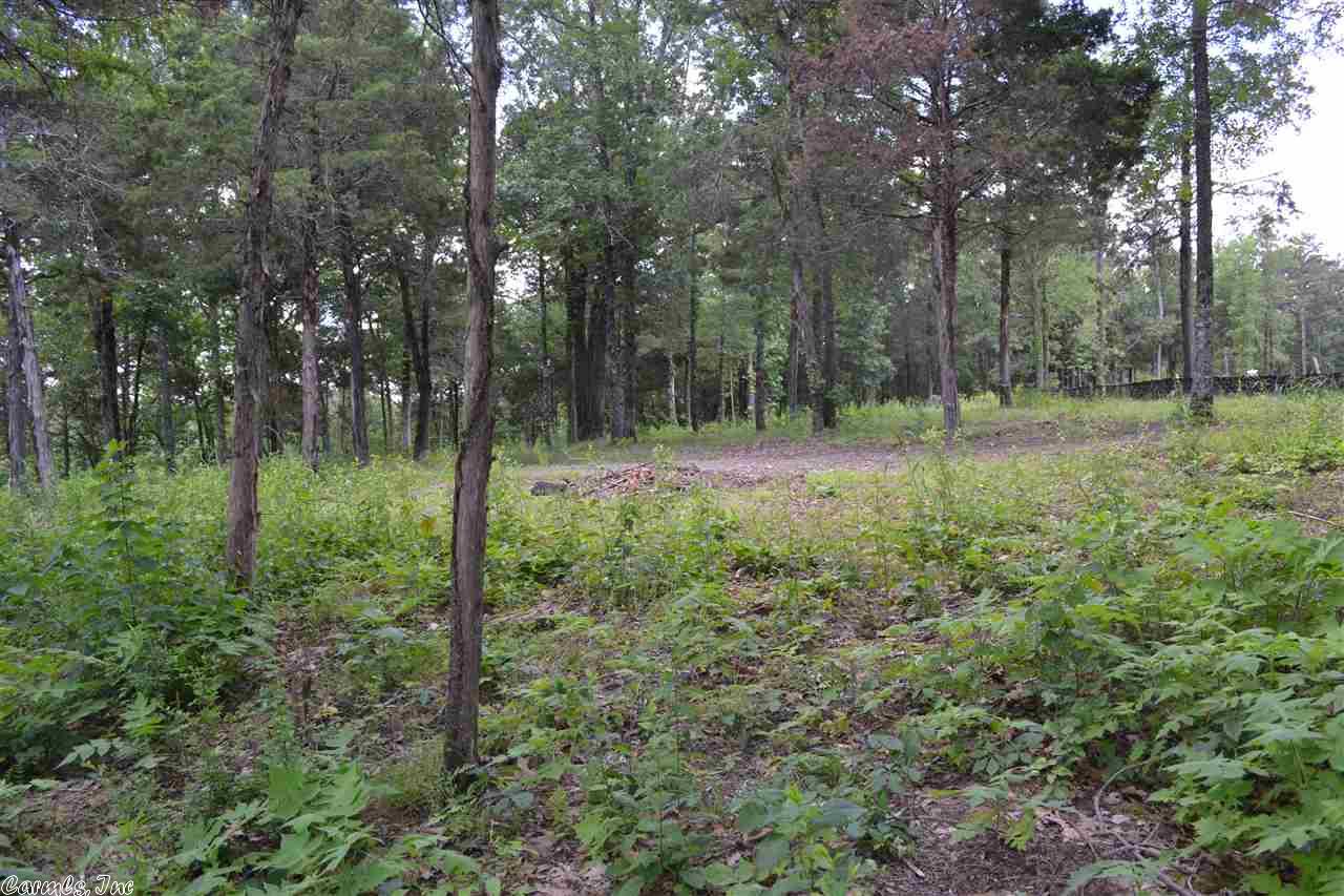 Lot 12 Wisdom Pointe Lane, Heber Springs, AR 72543