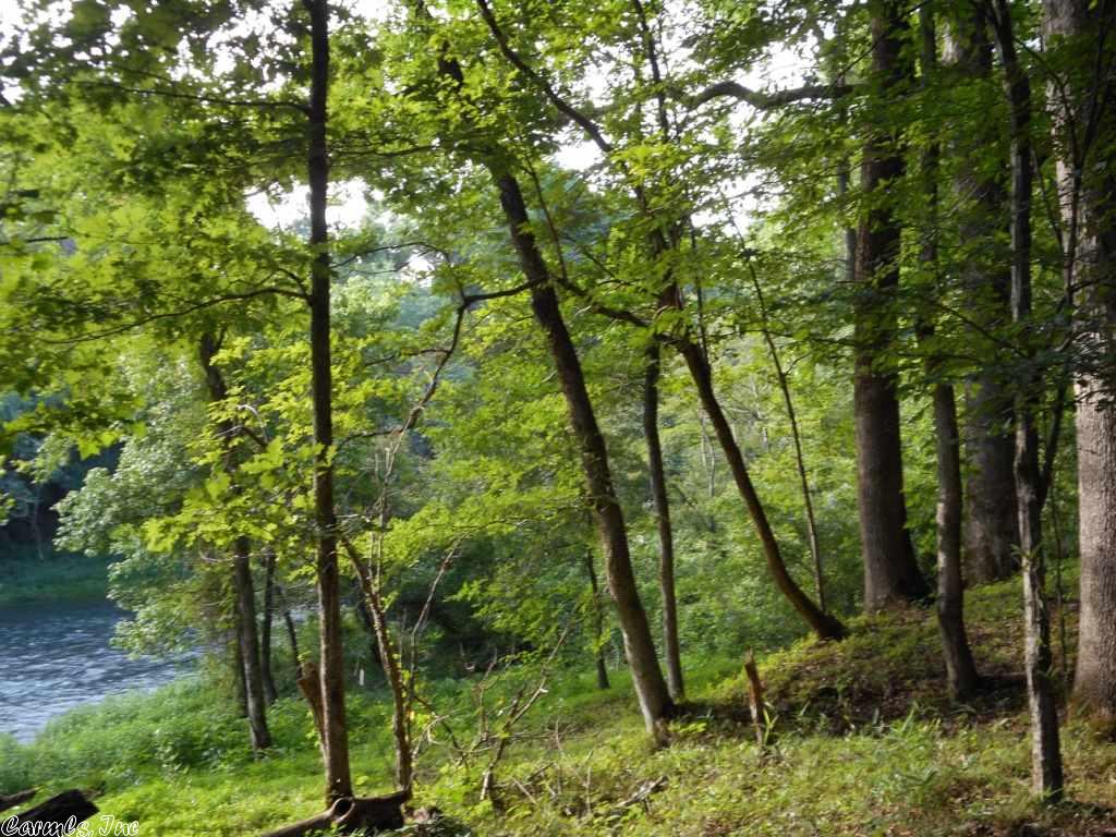 006 Wildflower Shores Drive, Heber Springs, AR 72543