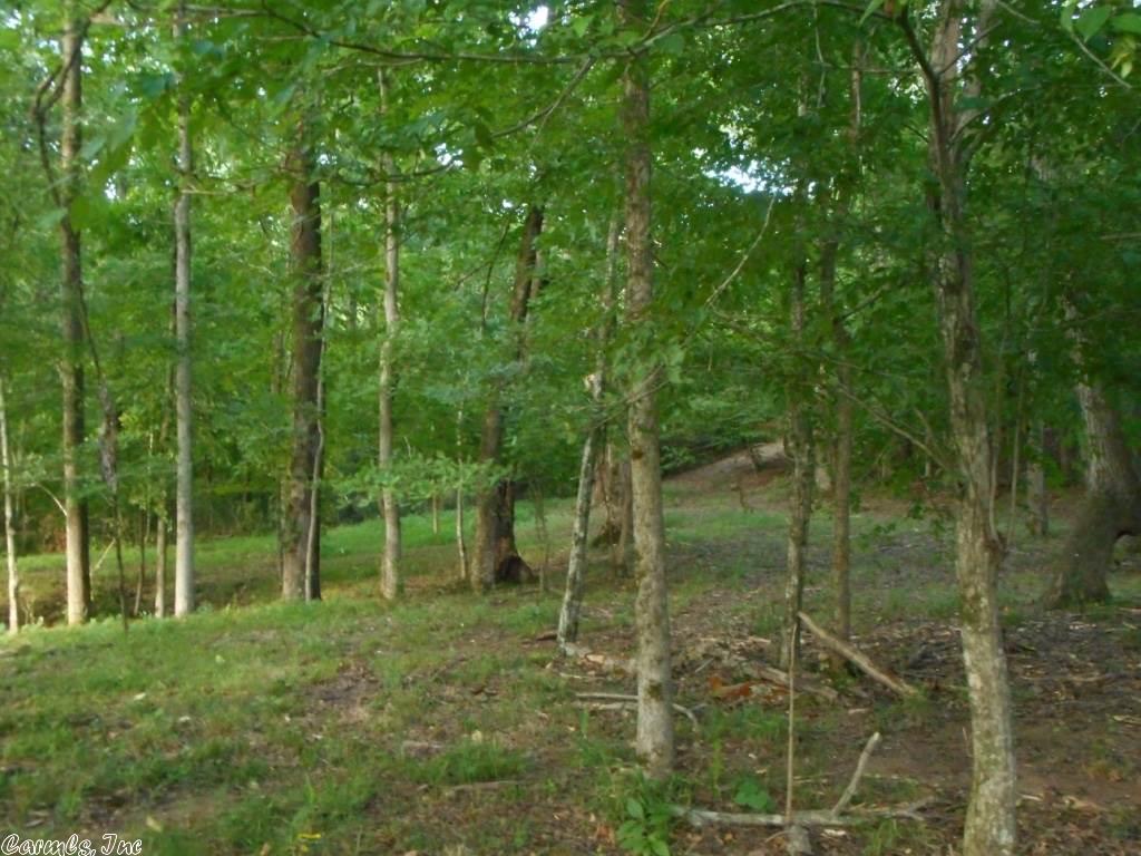 006 Wildflower Shores Drive, Heber Springs, AR 72543