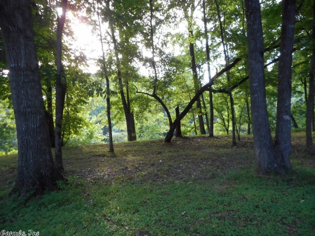 005 Wildflower Shores Road, Heber Springs, AR 72543