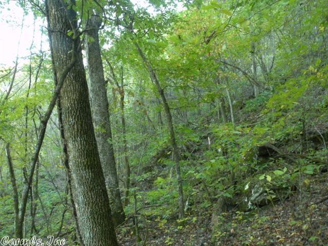 Libby Road, Heber Springs, AR 72543