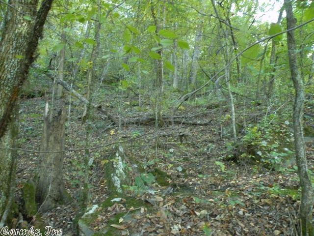 Libby Road, Heber Springs, AR 72543