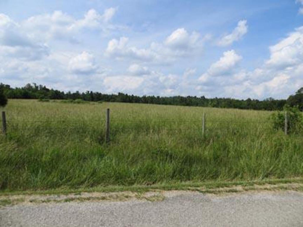 4640 French Town Rd, Mammoth Spring, AR 72554
