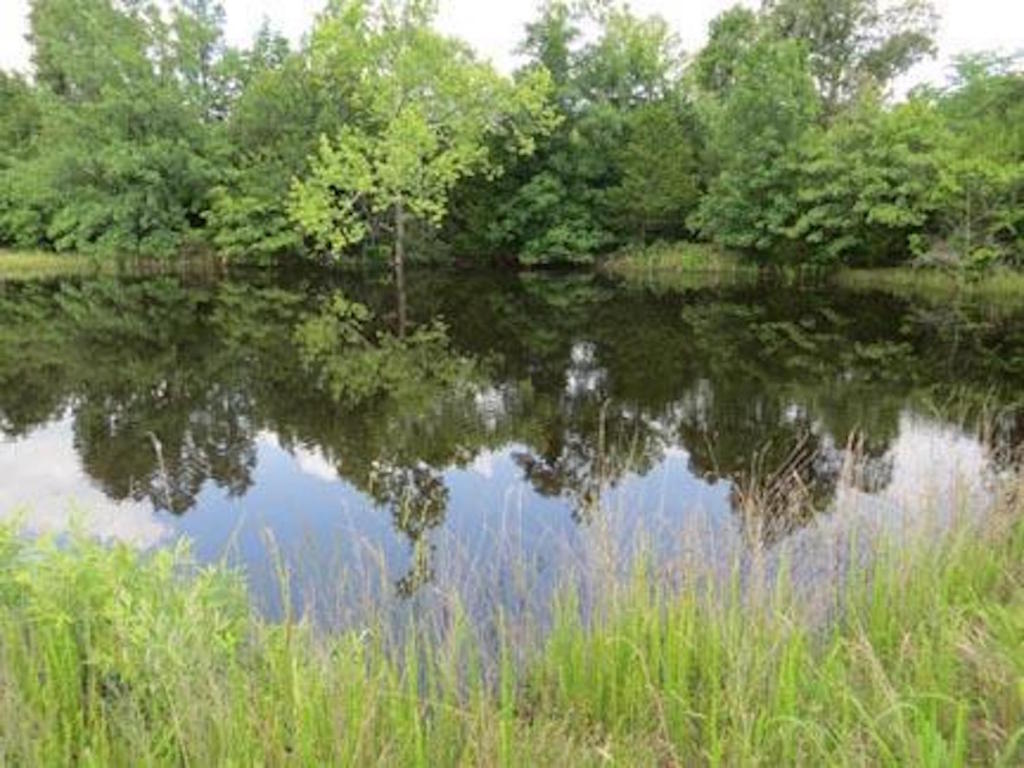 4640 French Town Rd, Mammoth Spring, AR 72554