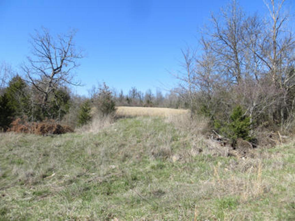 4640 French Town Rd, Mammoth Spring, AR 72554