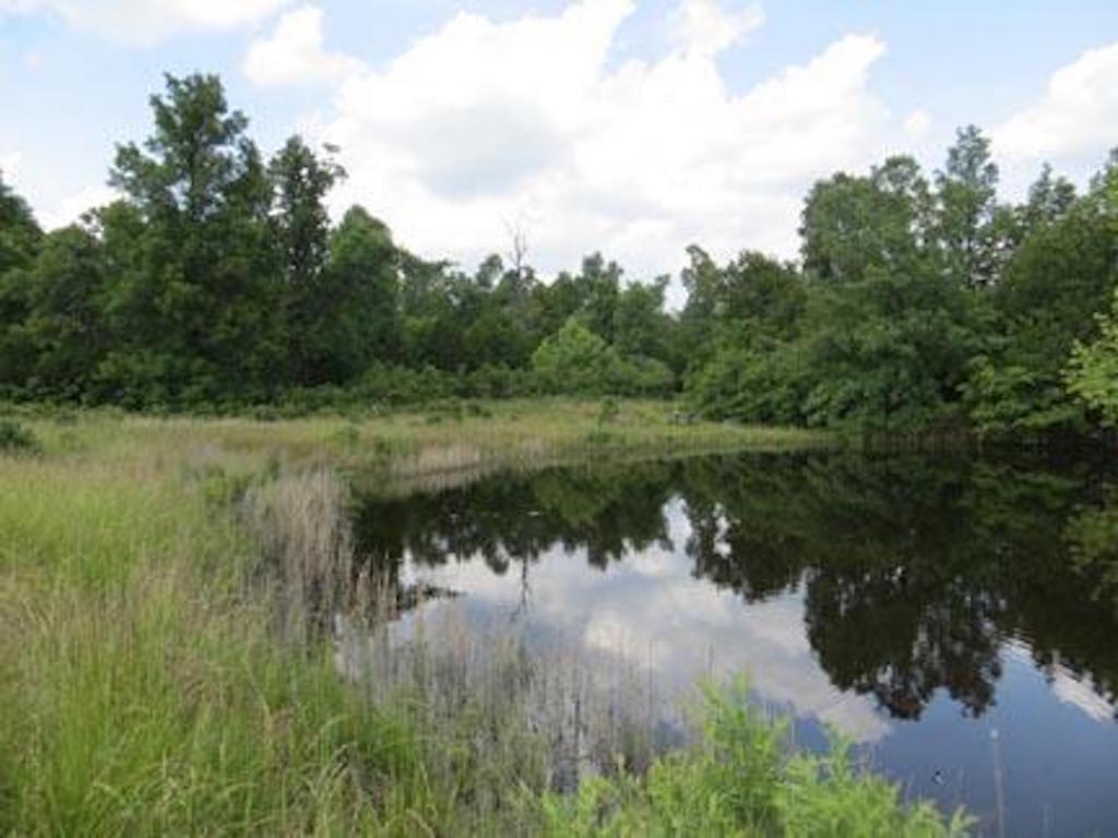 4640 French Town Rd, Mammoth Spring, AR 72554