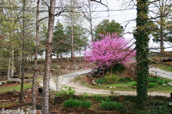 2802 E Highway 14, Mountain View, AR 72560