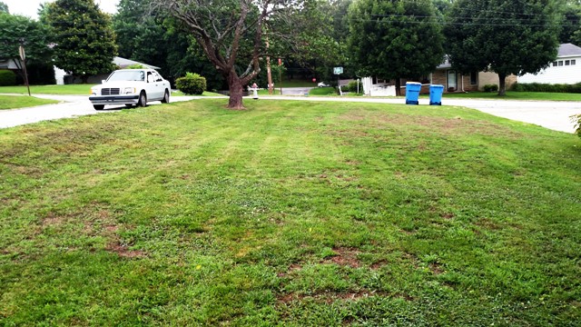 500 S. Liberty, Harrison, AR 72601