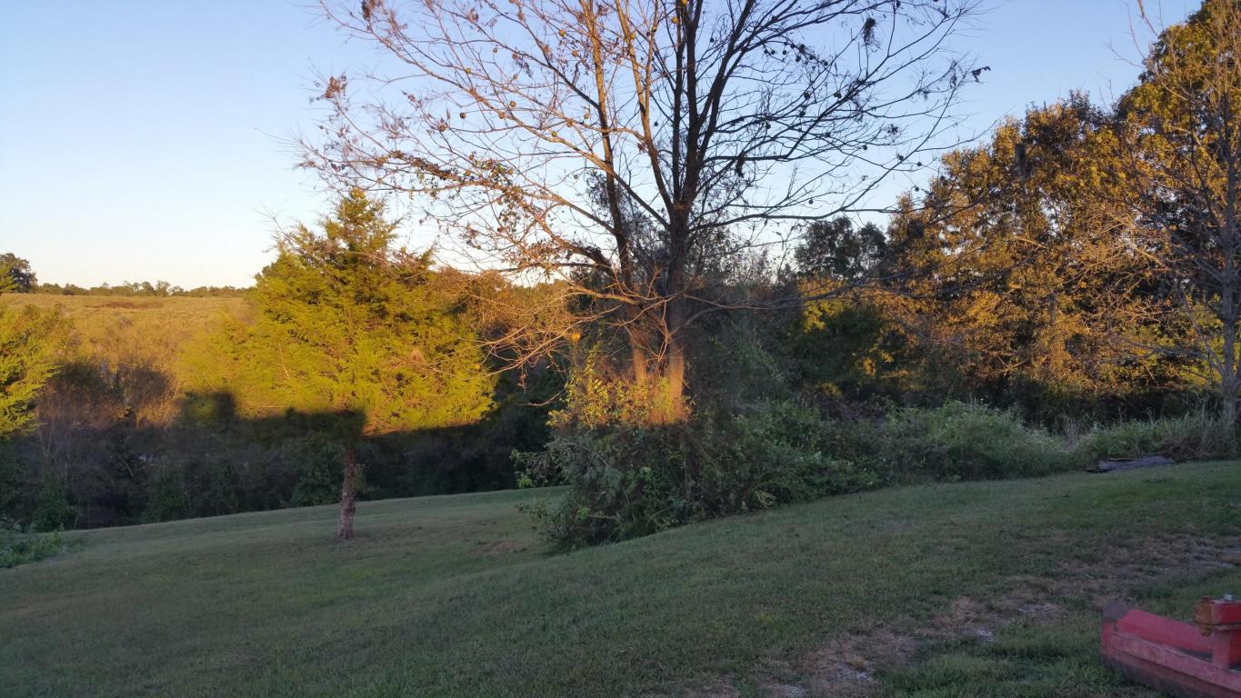 2978 E ROAD RUNNER Lane, Harrison, AR 72601
