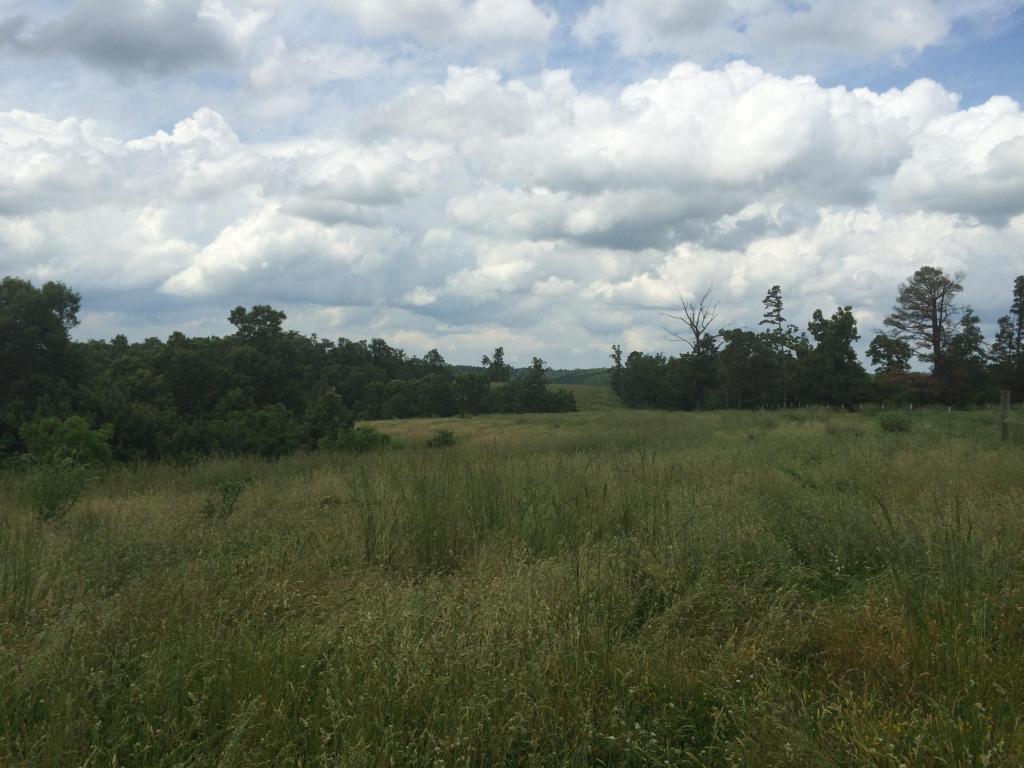 5205 Nalley Lane, Harrison, AR 72601