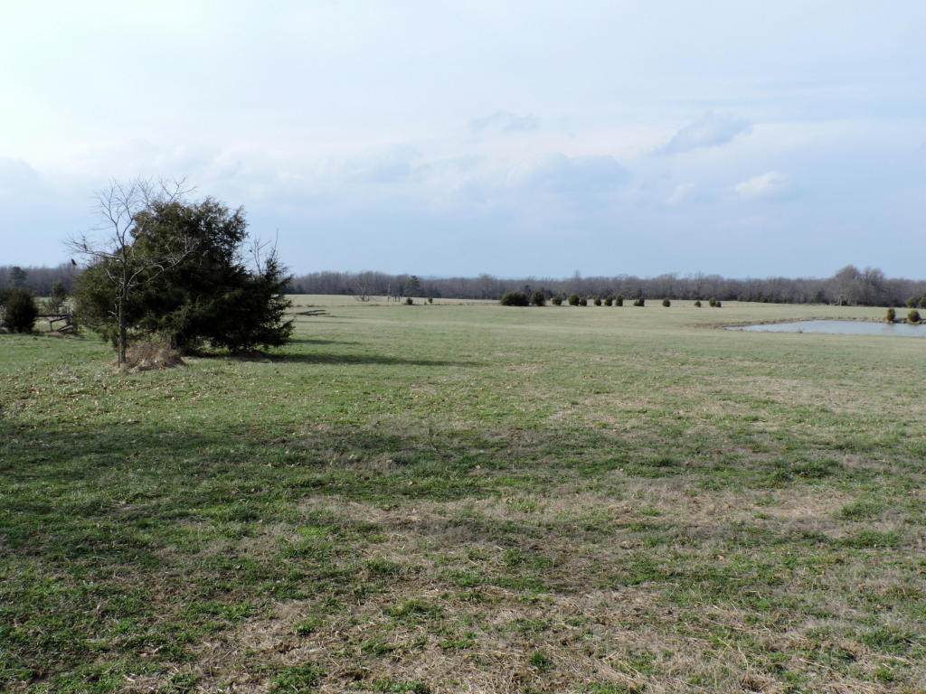 11802 Deer Road, Harrison, AR 72601