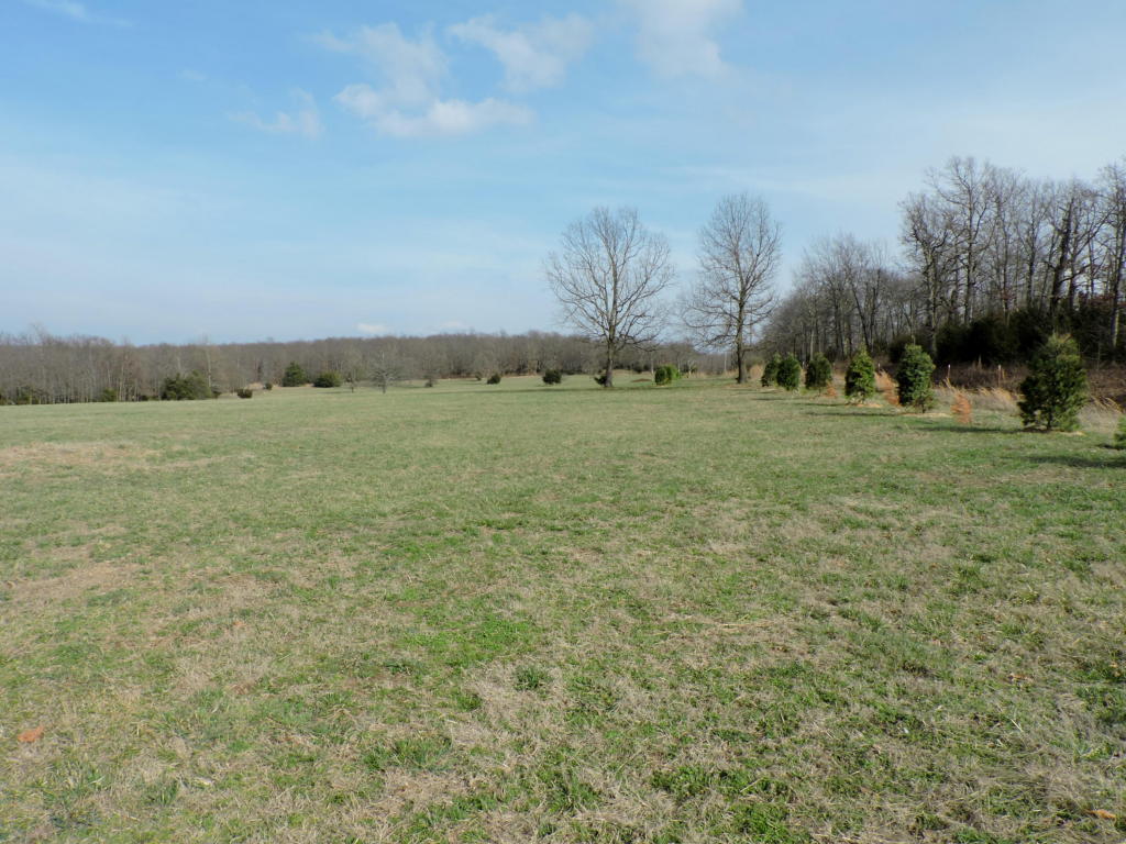 11802 Deer Road, Harrison, AR 72601
