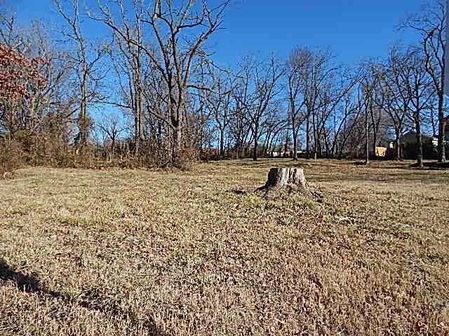 207 N Main Street, Berryville, AR 72616